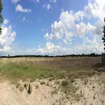 By Pond In * ולדהובן