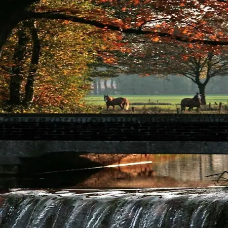 By Pond In شاليه *