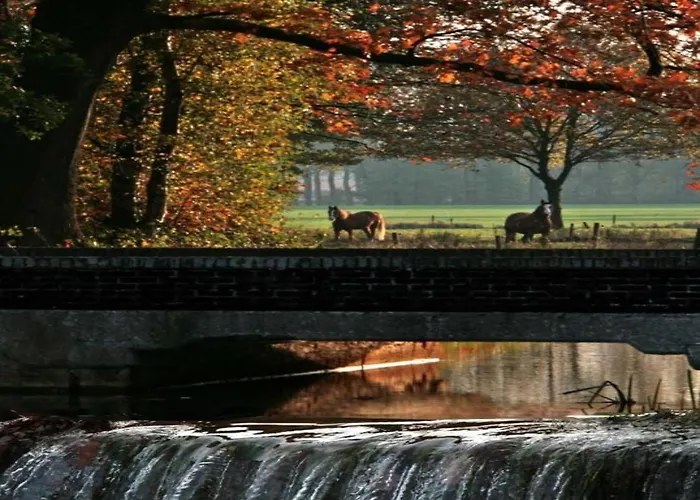 By Pond In Σαλέ *