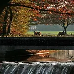 By Pond In 샬레 *