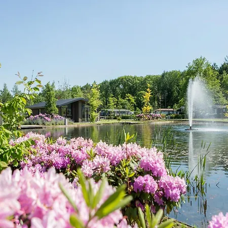 By Pond In