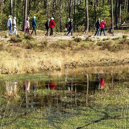 By Pond In Chalet Veldhoven