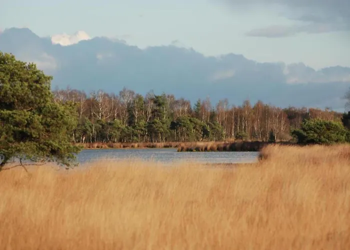 شاليه By Pond In *